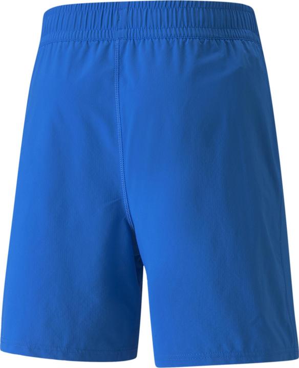 Actual product image Puma teamFINAL shorts