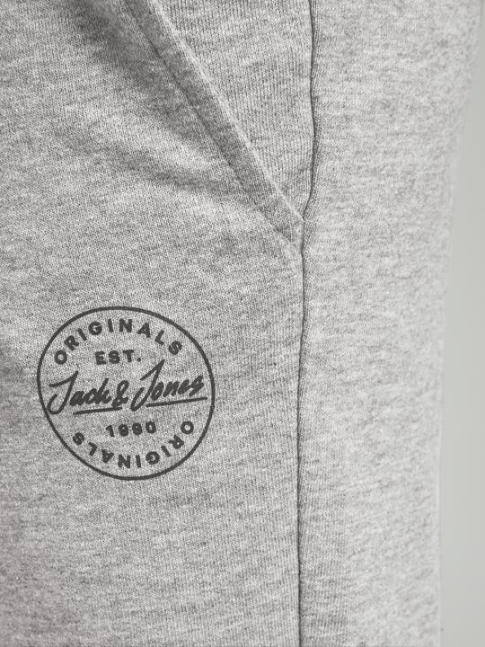 Actual product image Jack & Jones Shorts (140)