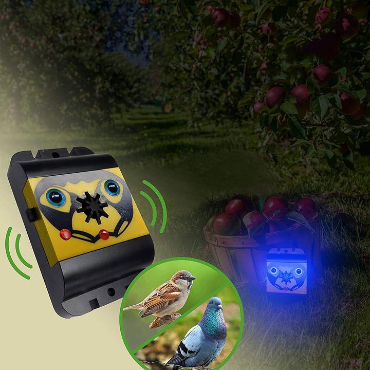 Produktbild Colibri Devils Eye