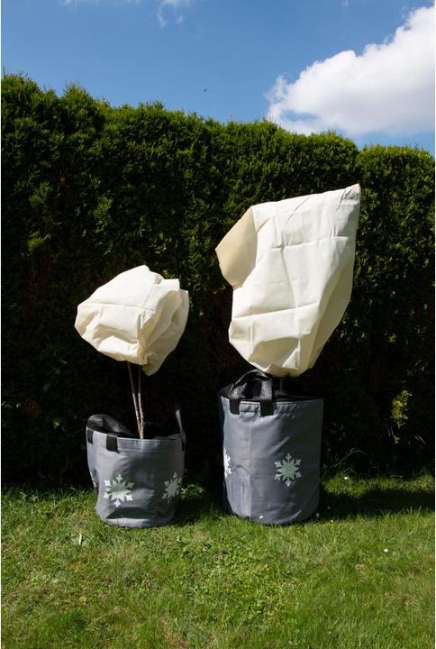 Actual product image Colibri Frostschutz Topf grau mit Motiv