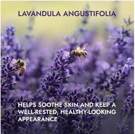 Image du produit Lavendel Chodouňská BalÄÄek ÄajÅ¯ pro harmonii tÄ'la. mysli a duÅ¡e s LevandulÃ ChodouÅˆskou (Eau micellaire, 500 ml)