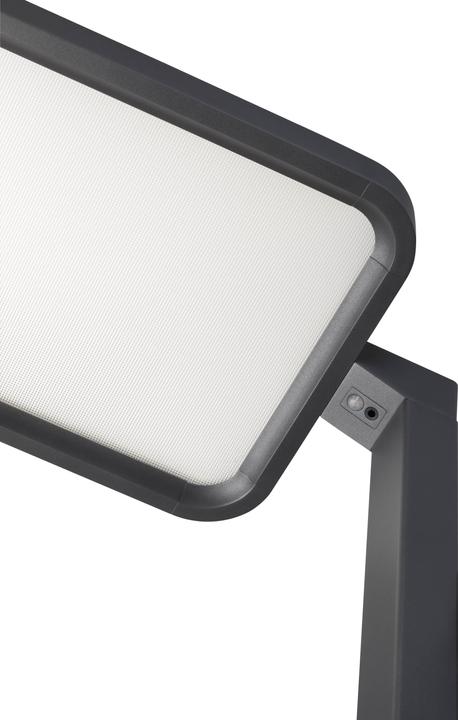 Image du produit Hansa Lampadaire Saphir LED Anthracite (7500 lm)