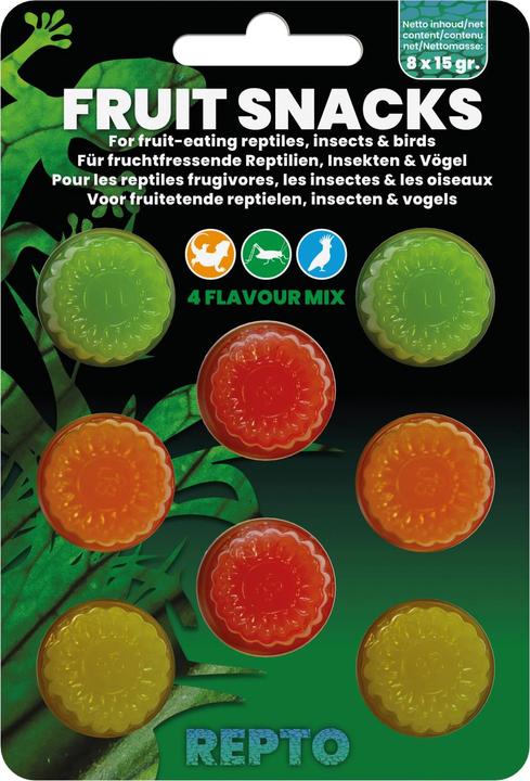 Repto Plant Fruit Snack Mix (0.12 kg)
