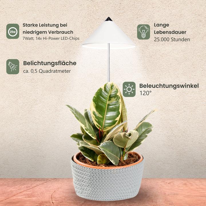 Immagine prodotto Colibri SUNLiTE bianco (LED, 230 V)