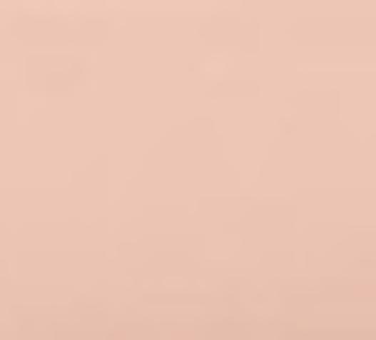 Actual product image Cricut 2010197 heat transfer vinyl Heat transfer vinyl roll Smooth heat transfer vinyl (1 x)