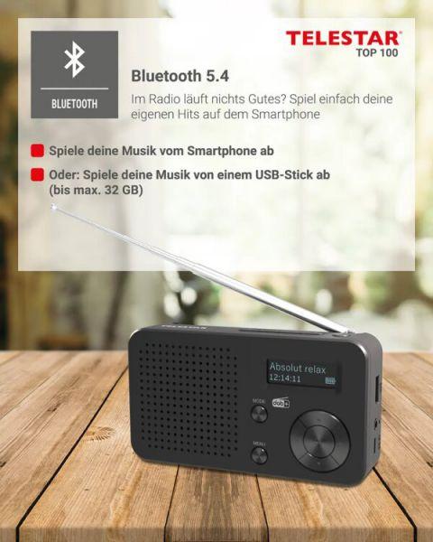 Immagine prodotto Telestar TOP 100 sw portables Radio DAB+/UKW,Bluetooth,USB,Akku