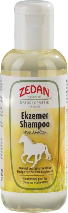 Actual product image Zedan Eczema shampoo