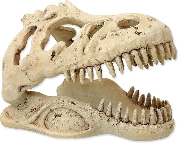 Repti Planet Dekoschädel T-Rex