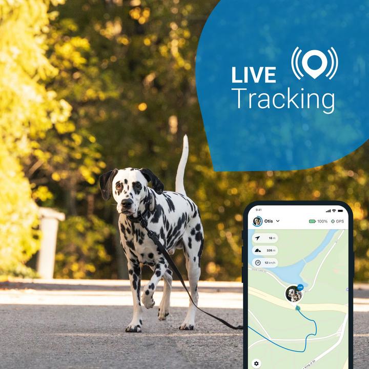 Immagine prodotto Tractive Dog 4 GPS Tracker per cani (Cane, Generale)