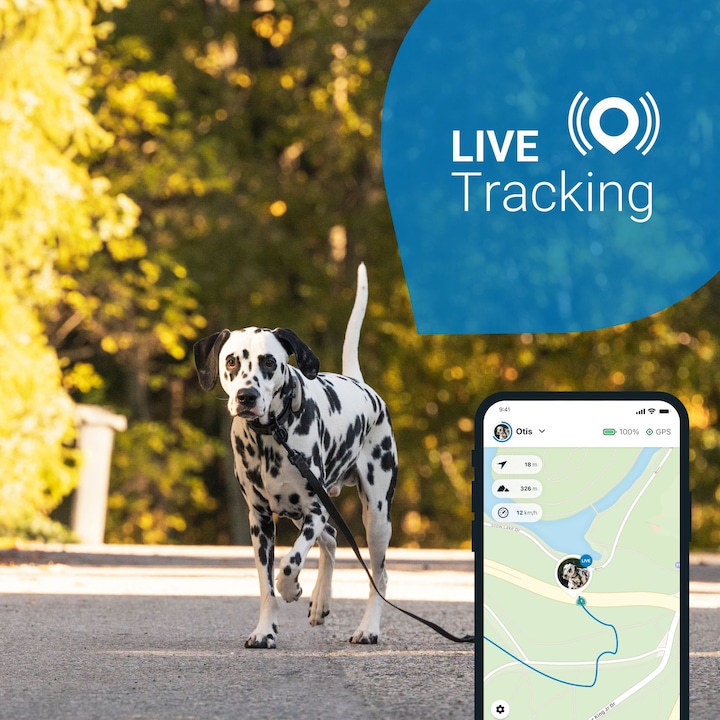 Produktbild Tractive Dog 4 GPS Tracker für Hunde (Hund, Allgemein)