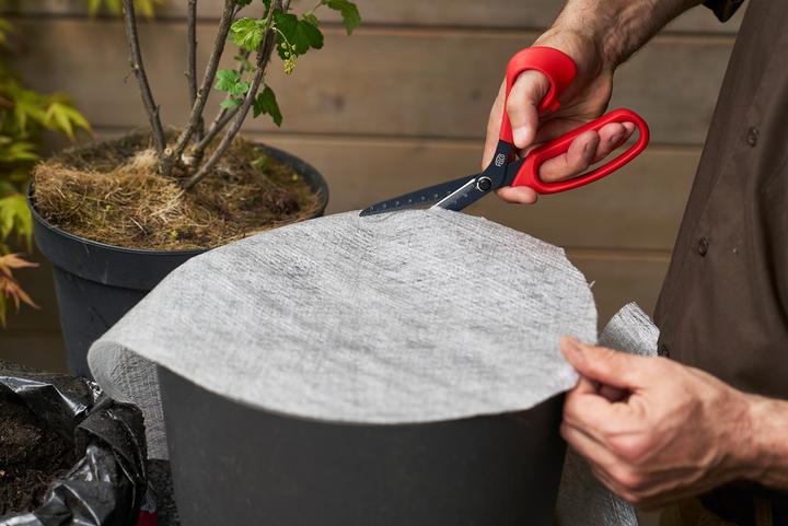 Actual product image Felco 455: Versatile professional scissors