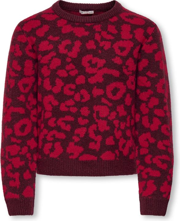 Image du produit Only KOGDORA Strickpullover Strickpullover (110, 116)