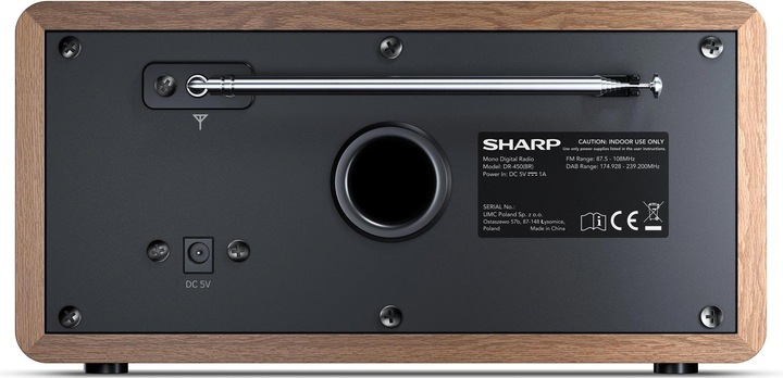 Actual product image Sharp DR-450 (FM, DAB+, Bluetooth)