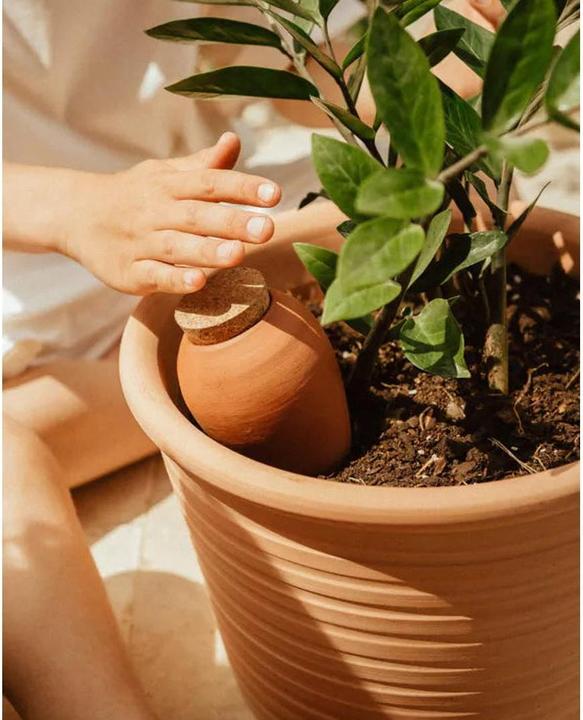 Actual product image Pepin Olla (Clay cone)