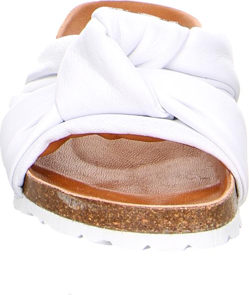 Actual product image Verbenas Rainbow Blanco (41)