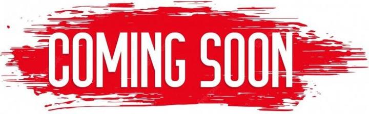 Productafbeelding Champion Herren-Kapuzenpullover (M)