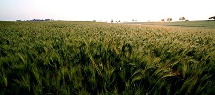 Image du produit Samyang 16mm F2.0 Pentax (Pentax K, APS-C / DX)