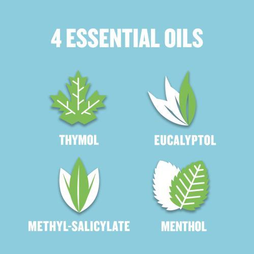 Actual product image Listerine Cool Mint Mild Taste Mouthwash (500 ml, Mouthwash)