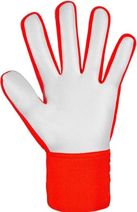Produktbild Reusch Attrakt Starter Solid Torwarthandschuhe (10.5, 7.5)