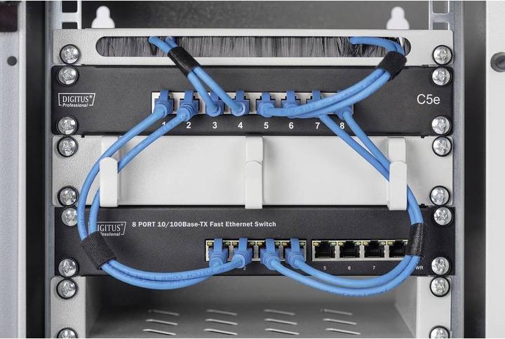 Image du produit Digitus RackRAL 7035 DN-10 05-U (6 HE, Rack 10 pouces)