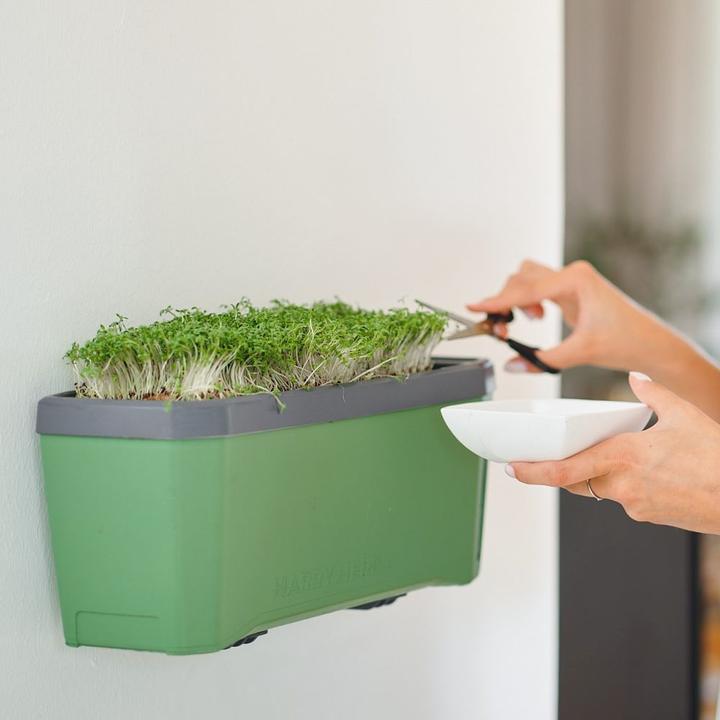 Actual product image Gusta Garden Kräutertopf HARRY HERBS mit Haube, Weiss (36.50 x 15 x 25 cm)
