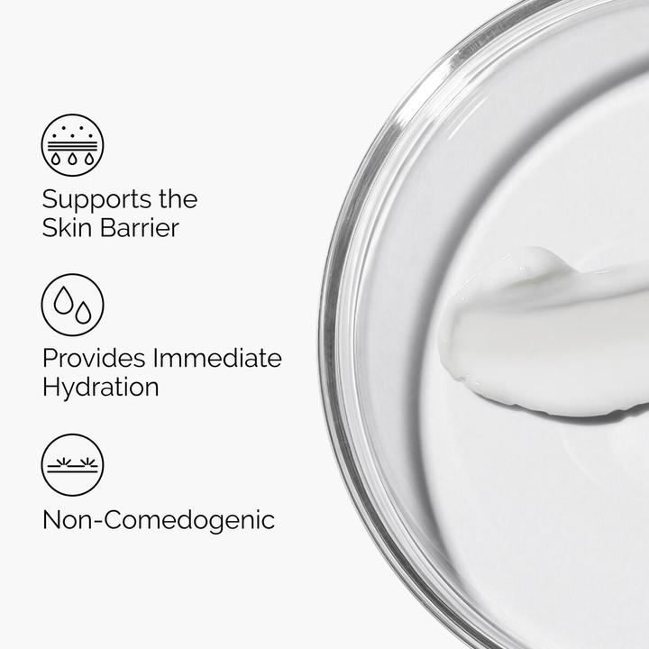 Actual product image The Ordinary Natural Moisturising Factors HA (100 ml)