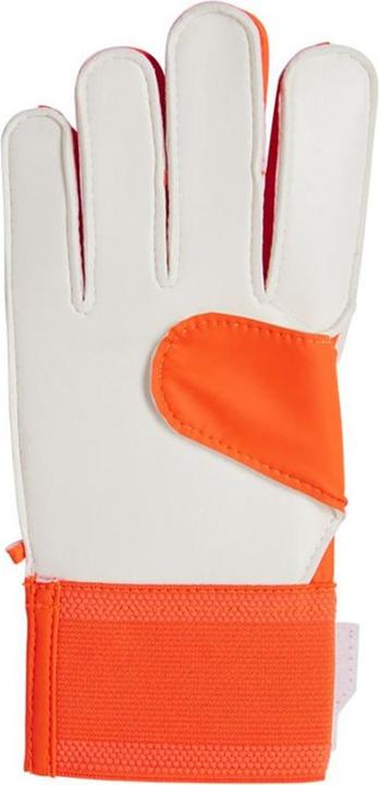 Produktbild Adidas Predator TorhüterHandschuhe Training (5.5)