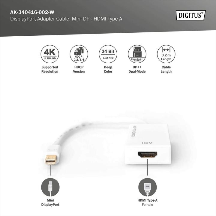 Produktbild Digitus ASSMANN DisplayPort Adapterkabel mini DP - HDMI Typ A St/Bu 0,2m HDMI Ver. 2.0 aktiv CE gold we (HDMI, 20 cm)