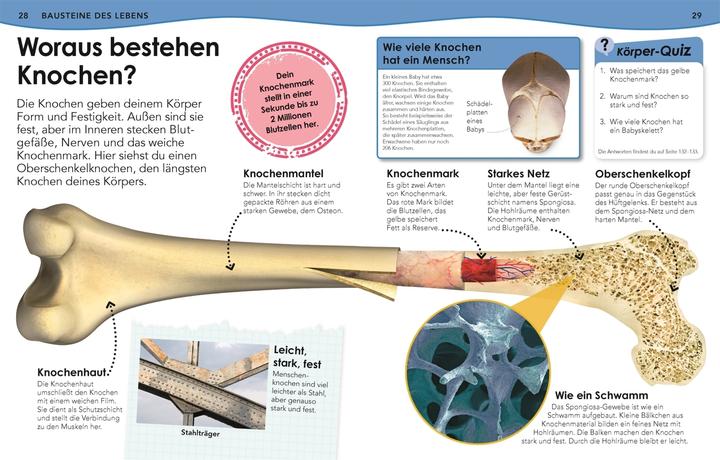 Actual product image Weshalb? Deshalb! Körper (German, Emily Dodd, 2021)