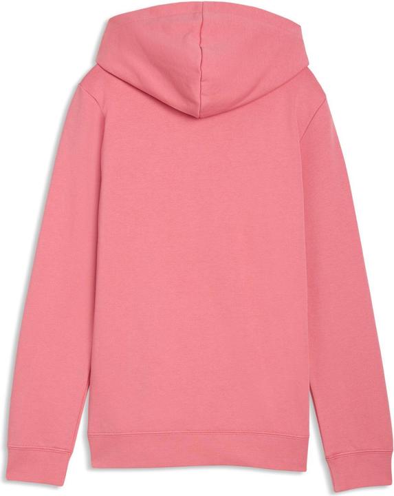 Produktbild Puma ESS No. 1 Logo Hoodie TR G (164)