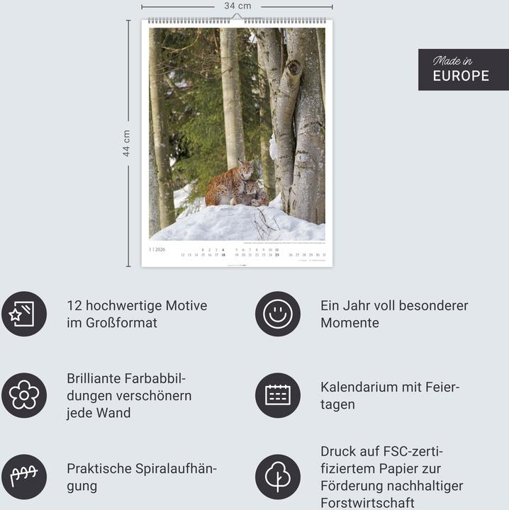 Produktbild Heimische Wälder Kalender 2026 (34 x 44 cm, Harter Einband, Deutsch)
