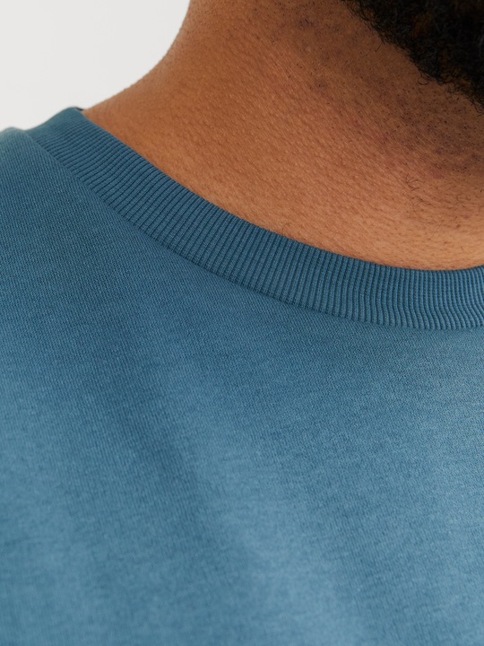 Actual product image Jack & Jones Jjebradley Sweat Crew Noos Pls (7XL)