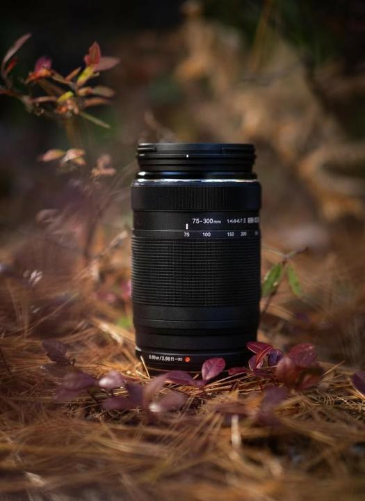 Productafbeelding Olympus OM Digital M.Zuiko Digital 75-300mm II (Micro Vier Derde, Micro Vier Derde)