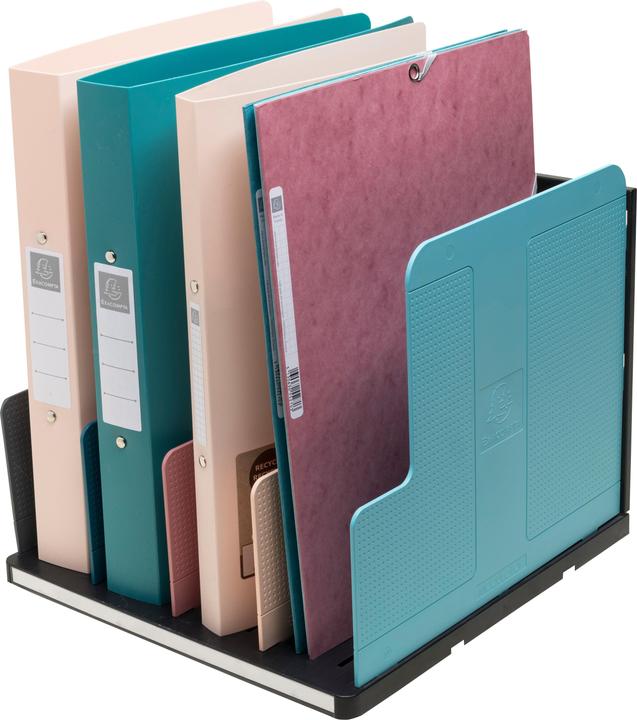 Actual product image Exacompta MODULOTOP, vertikaler Sorter mit 5 Trennplatten, Skandi (A4+)