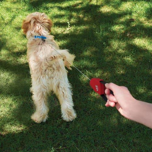Actual product image Nite Ize RadDog Retractable Pocket Leash (Dog, General)