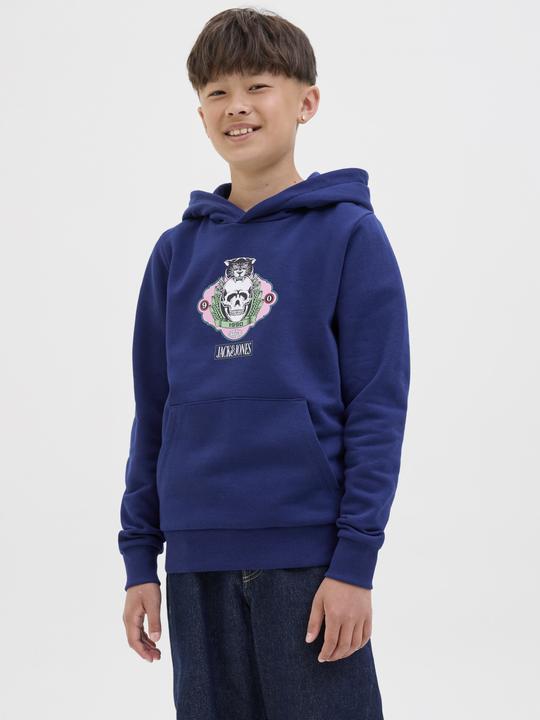 Actual product image Jack & Jones Jorskull Nature Sweat Hood Sn Jnr (152)