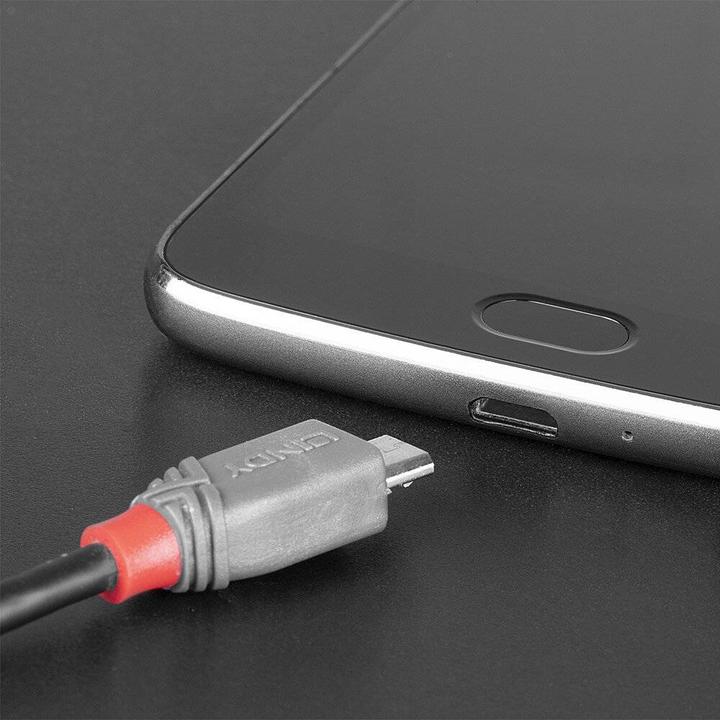 Actual product image Lindy USB C — Micro USB B (3 m, USB 2.0)