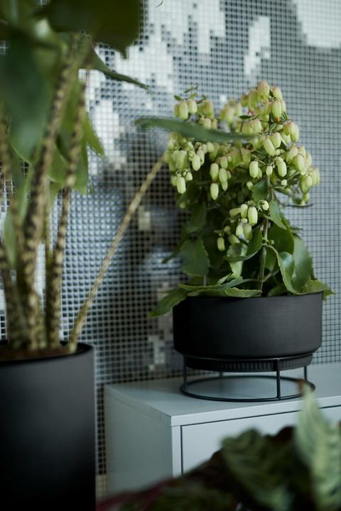 Produktbild Elho B. for studio (30.50 x 19 cm)