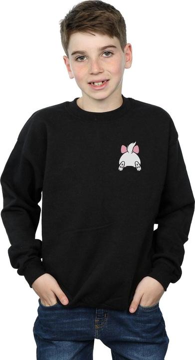 Actual product image Disney Boys Aristocats Marie Backside Breast Print Sweatshirt (116)