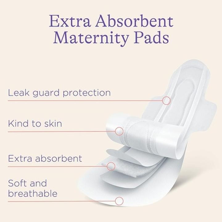 Produktbild Lansinoh Maternity Pads After Birth Extra Absorbent with Wings 10 count (10 x)