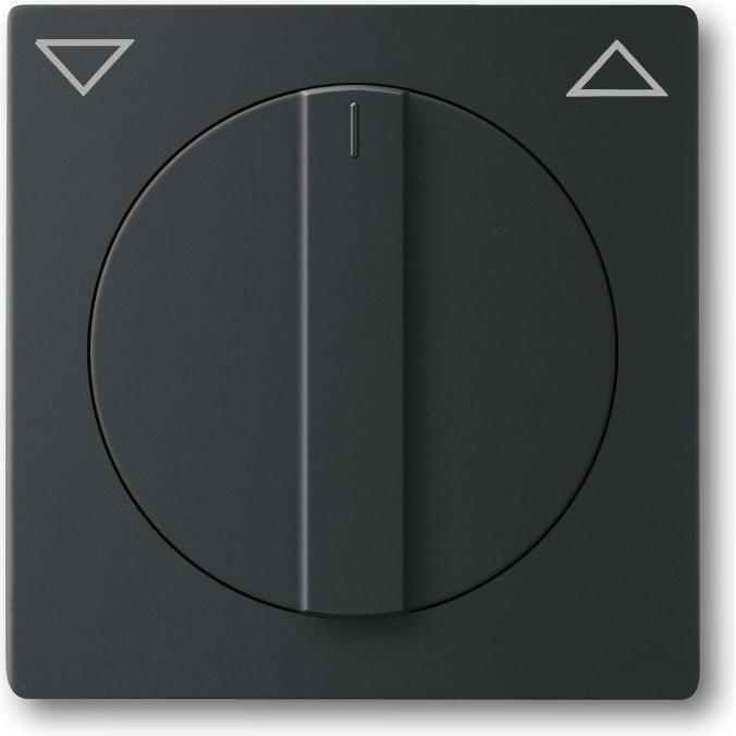 Busch-Jaeger, Programma di commutazione degli accessori, Disco centrale con impugnatura rotante, con 2CKA001710A3894