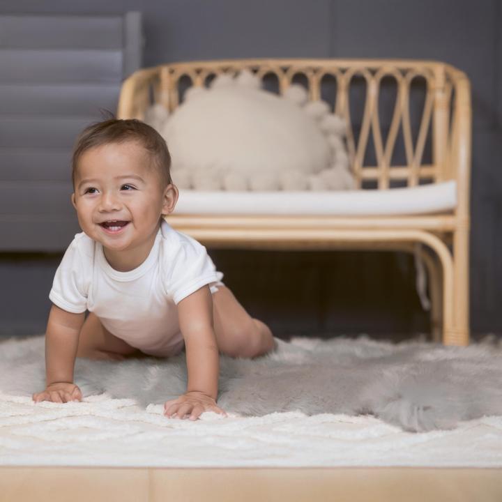 Image du produit Zewi Lammfell ungeschoren silbergrau (90 cm)