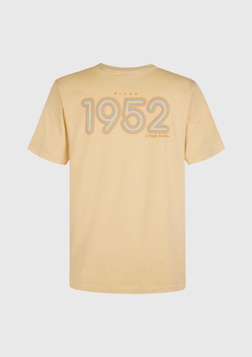 Actual product image O'Neill O'Riginals Retro Back Print T-Shirt (L)