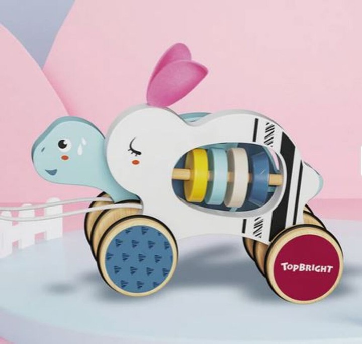 Actual product image Topbright Toys Hare and the Tortoise