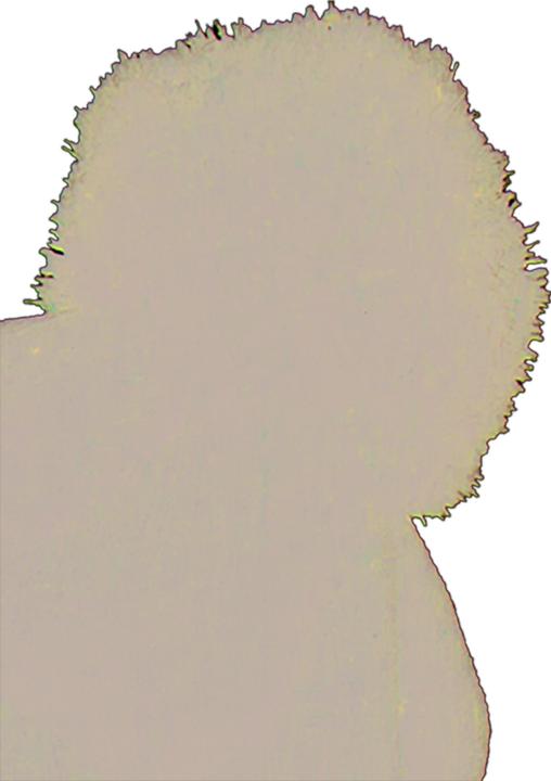 Image du produit Flexfit Bonnet en knit Pom Pom - 169975 (Taille unique)