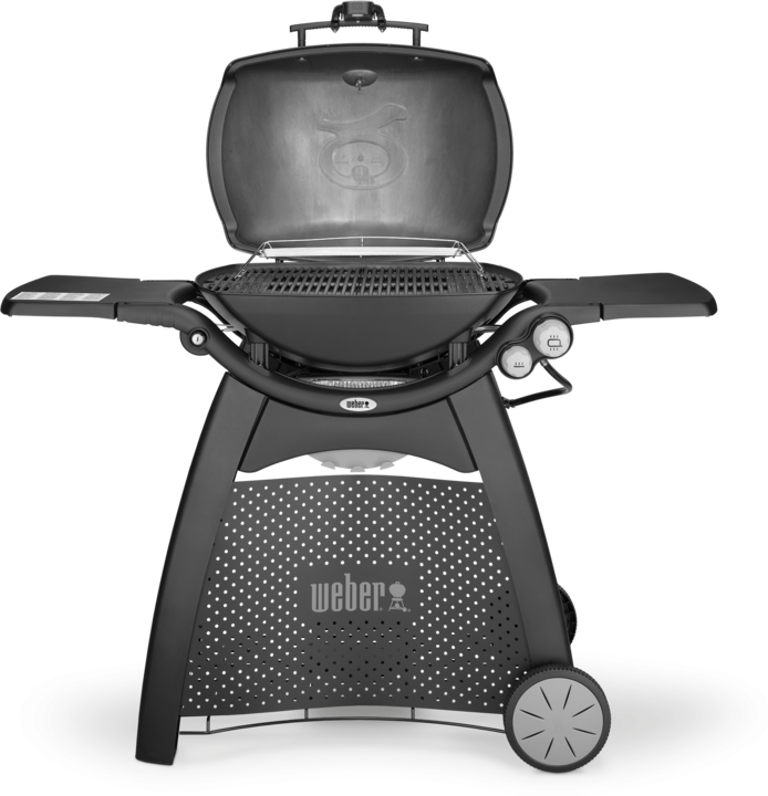 Actual product image Weber Q 3200 with trolley (6.30 kW)