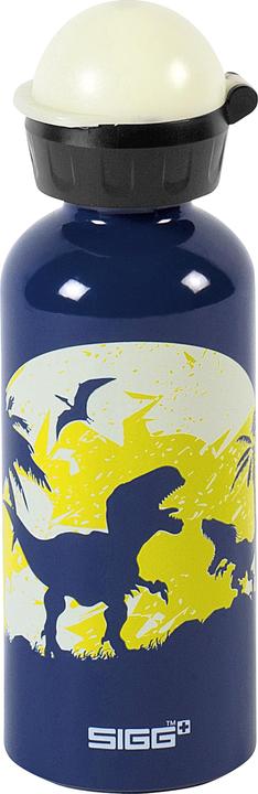 Actual product image Sigg Glow (0.40 l)