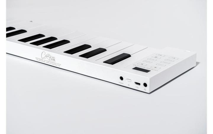 Immagine prodotto Blackstar Pianoforte pieghevole 88 (88 Chiavi)