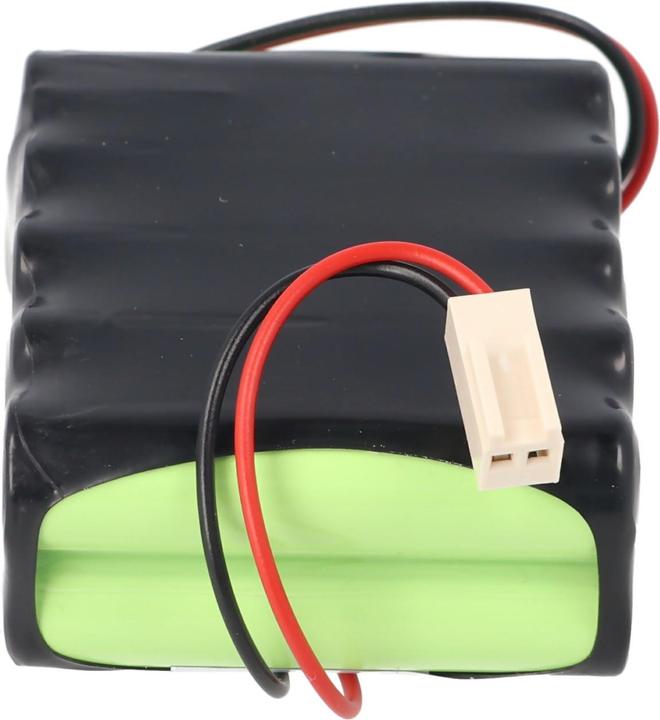 Actual product image AccuCell F2x5 battery pack with cable and plug (1 pcs., 800 mAh, Battery + charger)