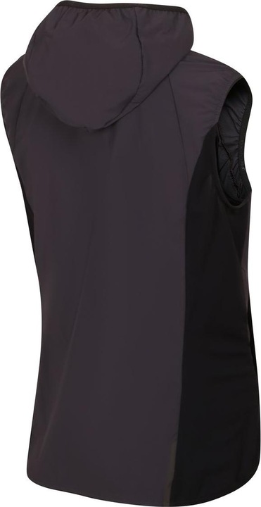 Produktbild Directalpine Element Lady 1.0, Weste, Damen (Athletic Fit) - Direct Alpine, 300 (L)